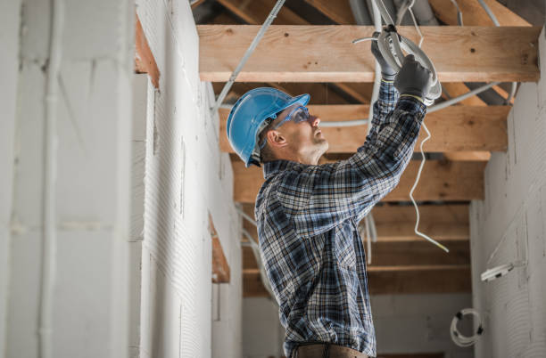 Best Licensed Electrician  in Rockwood, MI